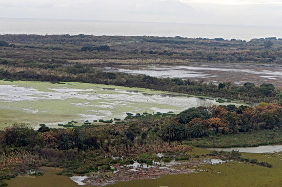 Laguna de las Gaviotas/Gull Pond