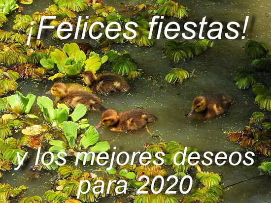 felices fiestas 2020