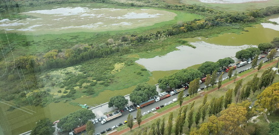 Coipos Camino del Medio/Coypu Pond Middle Path