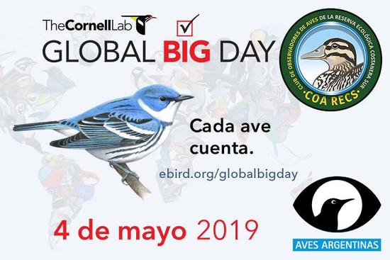 Global big day 2019