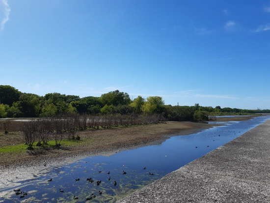 Laguna de los Coipos/Coypu Pond