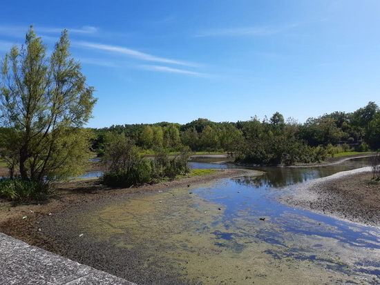 Laguna de los Coipos/Coypu Pond