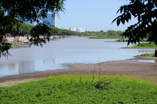 Laguna de los Coipos/Coypu Pond