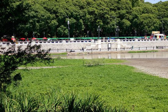 Laguna de los Coipos/Coypu Pond