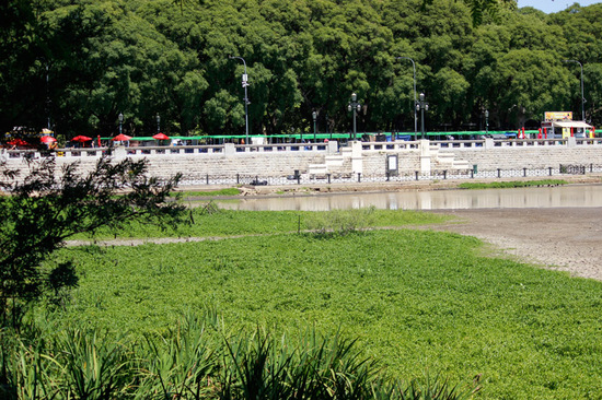 Laguna de los Coipos/Coypu Pond