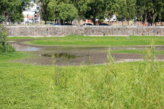 Laguna de los Coipos/Coypu Pond