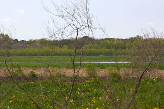 Vista de la Laguna de las Gaviotas/View of the Gull Pond