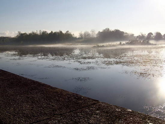 Neblina/Mist