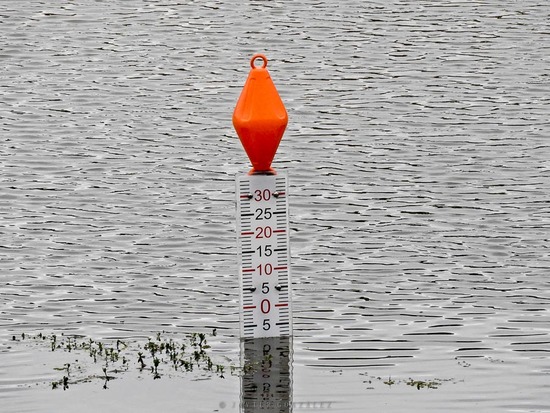 Vara medidora/Water measuring pole
