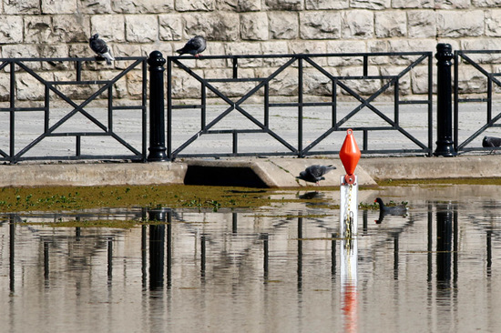 Vara medidora/Water measuring pole