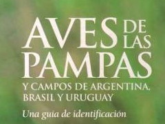 Aves de las pampas