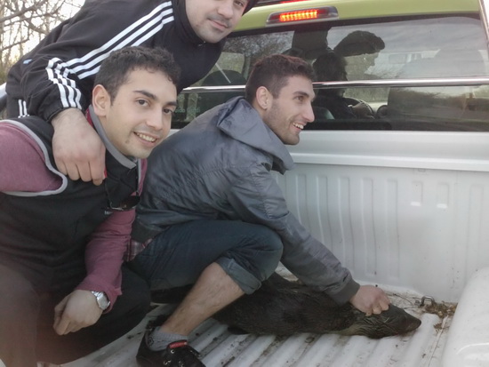 Al rescate/To the rescue