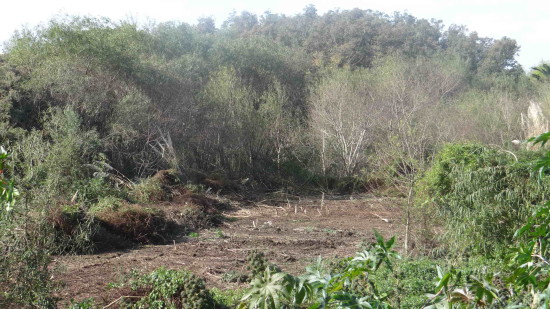 Agua en las lagunas/Water in the ponds