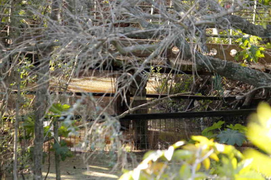 Agua en las lagunas/Water in the ponds