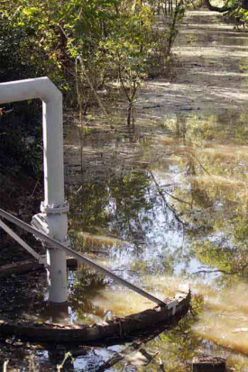 Agua en las lagunas/Water in the ponds