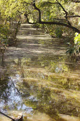 Agua en las lagunas/Water in the ponds