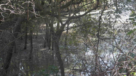 Agua en las lagunas/Water in the ponds