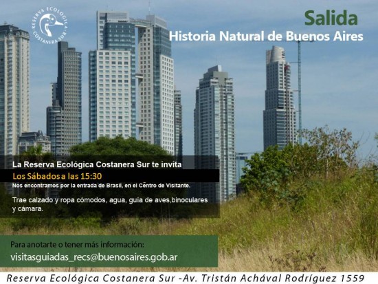 Historia_RECS