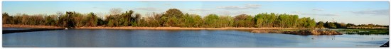 Laguna de los Coipos/Coypu Pond