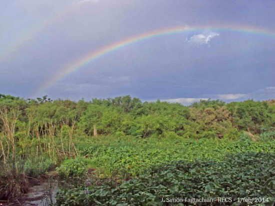 Arco iris/Rainbow