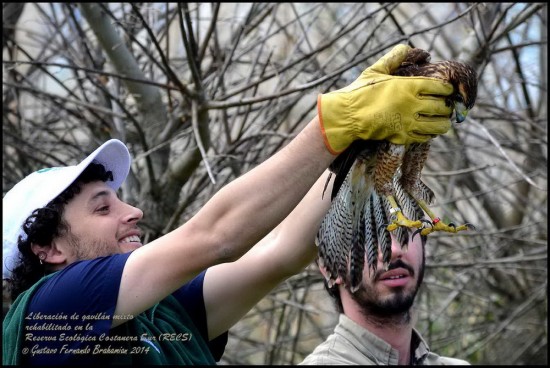 Reserva Ecológica Costanera Sur