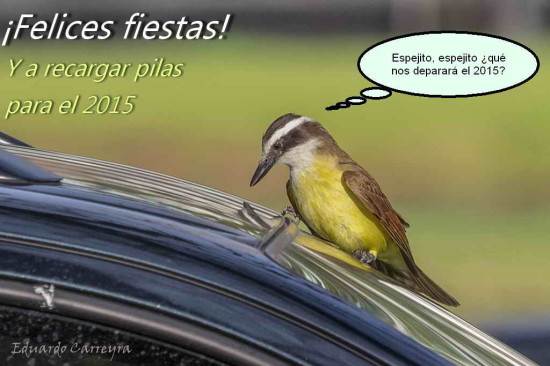 felices2014