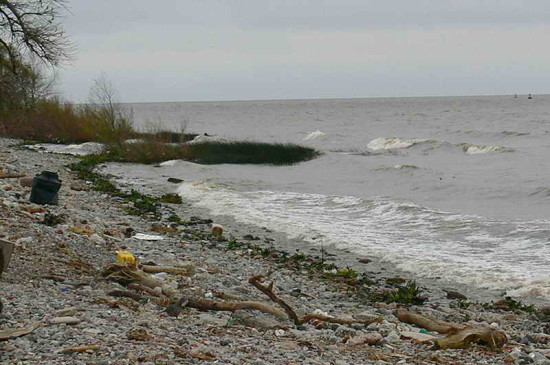 Costa del río/Coast of the river