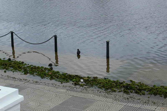 Lluvia/Rainfall