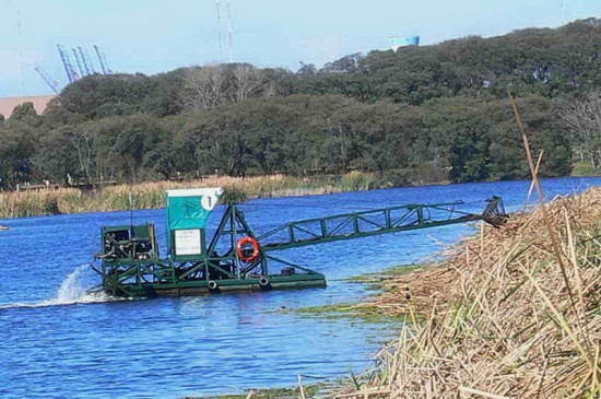 Vista de Coipos/View of Coypu Pond