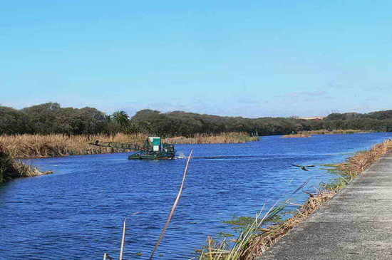 Vista de Coipos/View of Coypu Pond