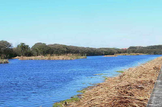 Vista de Coipos/View of Coypu Pond