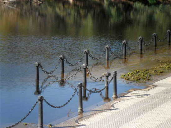 Vista Coipos/View Coypu Pond