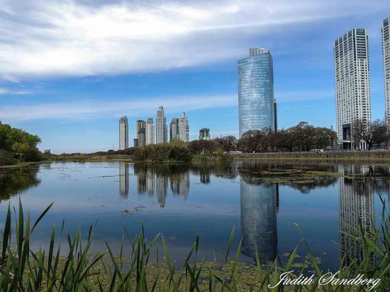 Vista de Coipos/View of Coypu Pond