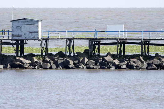 Camalotal/water hyacinth mats