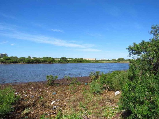 Río desde Camino de los Sauces/River from Willow Path