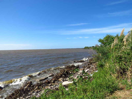 Río desde Camino de los Sauces/River from Willow Path