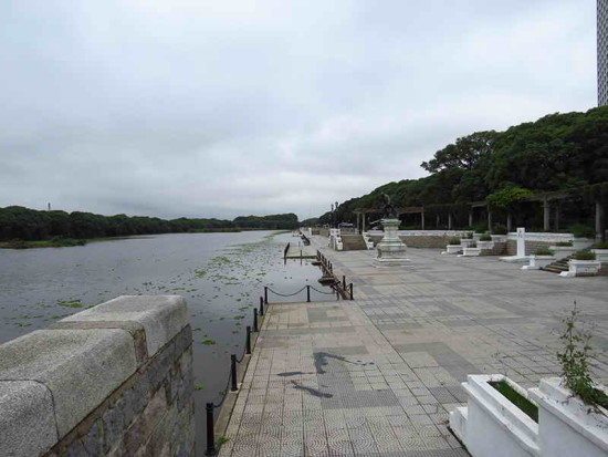 Coipos/Coypu Pond