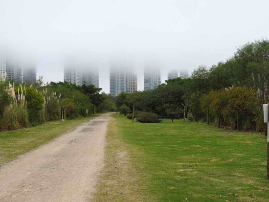 Vista de los edificios/View of the buildings