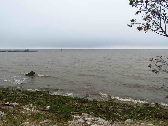 Vista del río/Coast of the river