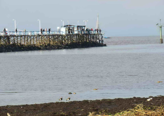 Vista muelle pescadores/View fishermen's pier