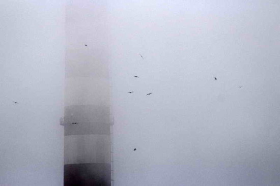 Chimenea de la usina/Chimney of the electric power plant