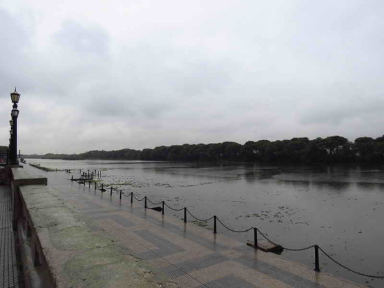 Vista Coipos/View Coypu Pond