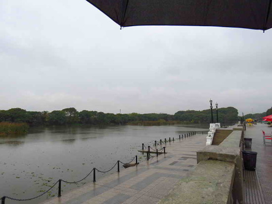 Vista Coipos/View Coypu Pond