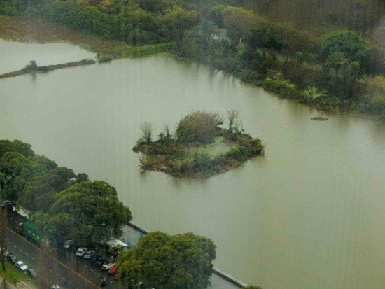 islote de Coipos/Coypu islet