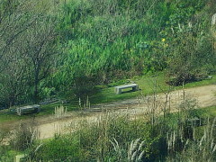 Camino Lagartos/Lizard Path