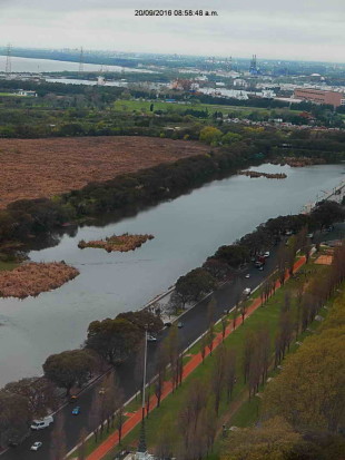 Coipos/Coypu Pond