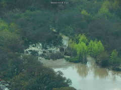 Coipos Viamonte/Coypu Pond Viamonte end