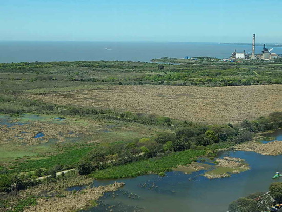 Coipos, Gaviotas, Patos/Coypu, Gull and Duck Ponds