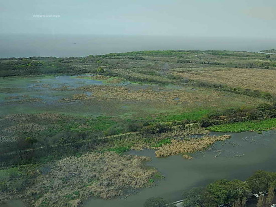 lagunas/ponds