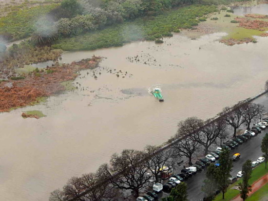 Coipos/Coypu Pond